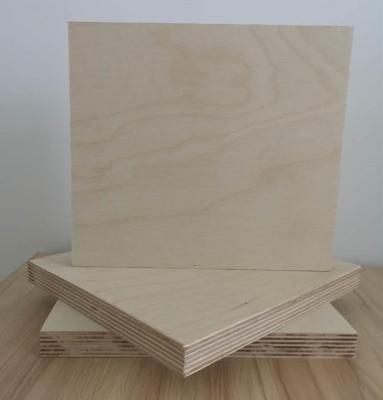 China Interior 10mm Birch Plywood From China Factory With Competitve Price for sale