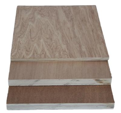 China Traditional 18mm Bintangor plywood en venta