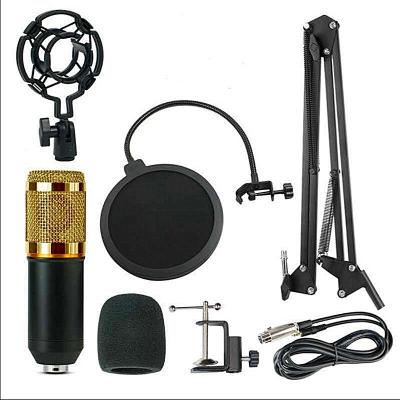 China Wholesale USB Microphone Condenser Microphone Bm800 Bm800 Recording Condenser Microphone Set for sale