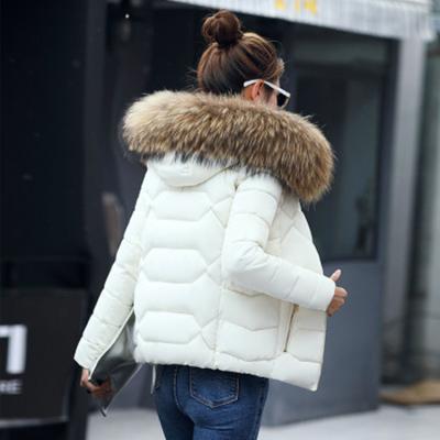 China Plus Size Coat Women Faux Fur Collar Parka Shorts Winter Outwear Warm Down Jacket Winter Jacket Female Coat for sale