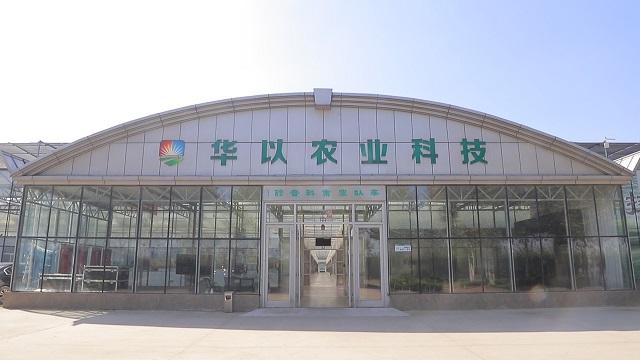 검증된 중국 공급업체 - Weifang Huayi Agriculture Technology Co., Ltd.