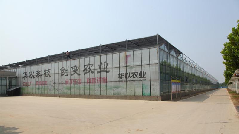 검증된 중국 공급업체 - Weifang Huayi Agriculture Technology Co., Ltd.