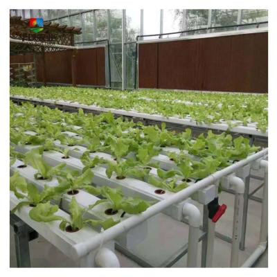 China Good Quality Vegetable Flowers Nft Growing Fruit Systems Hydroponic Hydroponic Shelving For Agriculture Hydroponic Greenhouse for sale