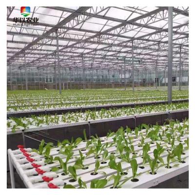 China Good Quality Leafy Vegetable Growing Hydroponic Growing Systems NFT Greenhouse Smart Hydroponics Te koop