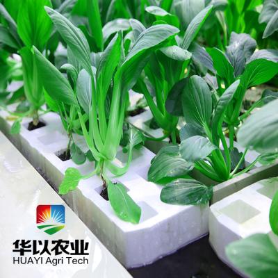 中国 Good Quality Structure Dwc Stable Outdoor Hydroponic Lettuce Growing Systems 販売のため