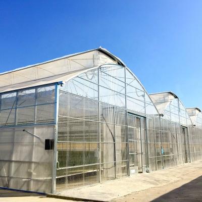 Cina Vegetable Control System Professional Commercial Agriculture Multi-Span Greenhouse Greenhouse Homes in vendita