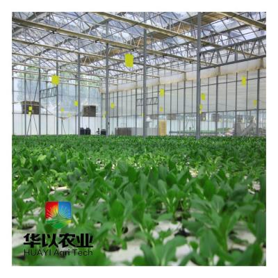 中国 Morden Leafy Vegetable Systems Profitable Greenhouse Growing Hydroponic Planting Hydroponic System 販売のため