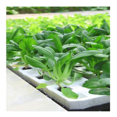 China Stable Multifunctional Automatic Hydroponic Plastic Nursery Bed Seedling Structure Hydroponic Nutrient Controller for sale