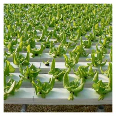 China Vegetable Greenhouse Planting System PVC Pipe Hydroponic Systems for sale