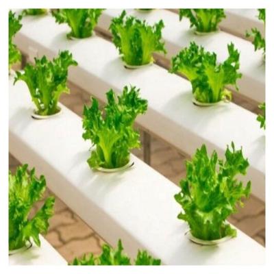 中国 Vegetable Fruit Flowers Greenhouse Maker nft hydroponics system for Green House with nft Channel 販売のため