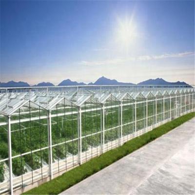 中国 High quality smart UV agriculture multi span protection venlo glass greenhouse 販売のため