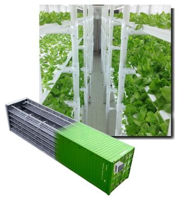 China Stable Structure 40' Commercial Vertical HQ Container Hydroponic System for sale