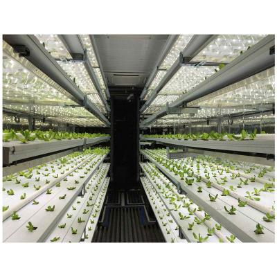 China Stable Container Structure Hydroponic Farm System Vertical Hydroponic Greenhouse for sale