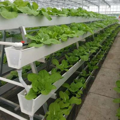 China Professional Hydroponic Growing Stable Structure Systems Indoor Vertical Hydroponic Farm For Sale for sale