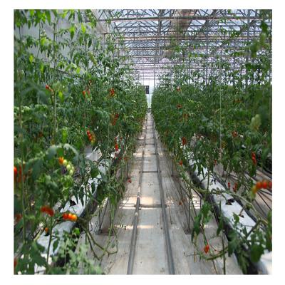 China Fruit Vegetable Flower Hydroponic Growing Systems for Tomato Substrate Cultivation Agriculture Te koop