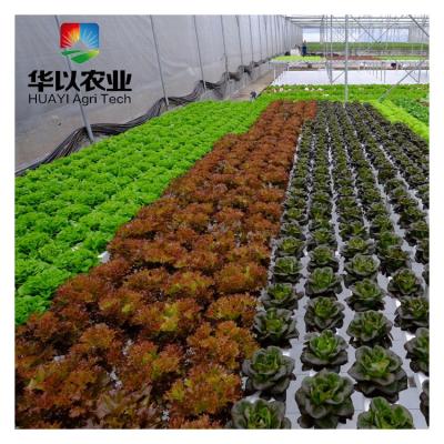 Cina The microgreen pvc vegetable commercial pipe the horizontal hydroponic system in vendita