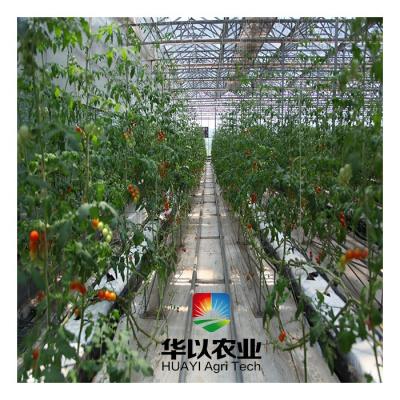 China Hydroponics Vegetable Vertical Systems Pepper Cucumber Tomato Hidroponic Growing System for sale