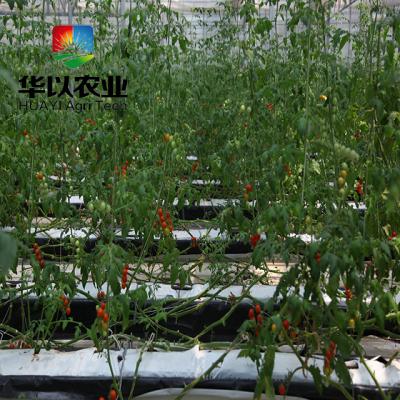 China Vegetable Supplier Chinese Greenhouse Channel Vertical PVC Hydroponic System For Vegetables And Fruit for sale