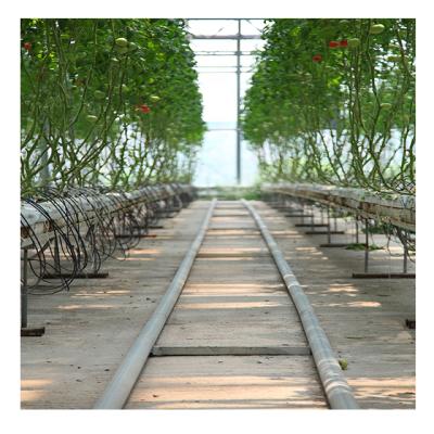 Chine Vegetable Flowers Best Quality Vertical Fruit Tomato Hydroponic System For Plant Growing à vendre