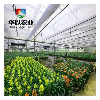 China Stable Luxury Agricultural Tempered Glass Greenhouses Large Structure Greenhouse zu verkaufen