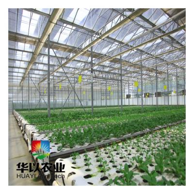 China Stable Structure Tempered Glass Greenhouse Tunnel Tunnel Lock Spring Greenhouse Te koop