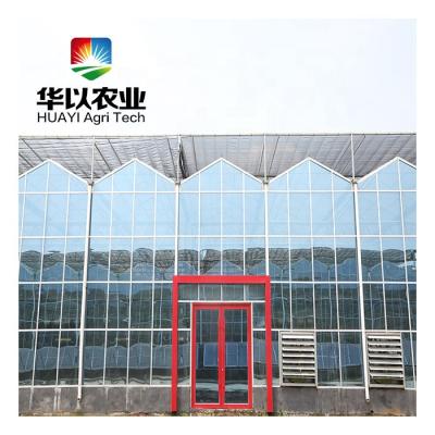 China Professional Stable And Commercial Tunnel Structure Agricultural Greenhouse à venda