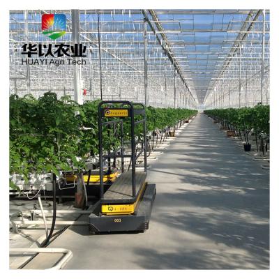 China Hot Galvanized UV Protection Structure Greenhouse Growing In Israel For Tomatoes en venta