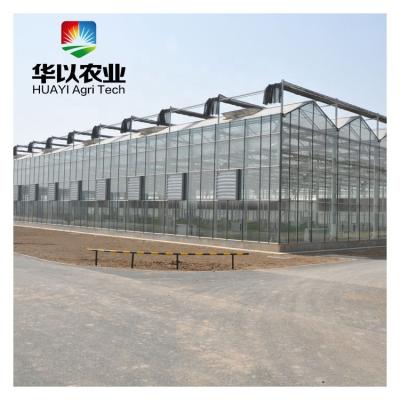 China Vegetable Climate Controller Commercial Glass Greenhouse For Sale zu verkaufen