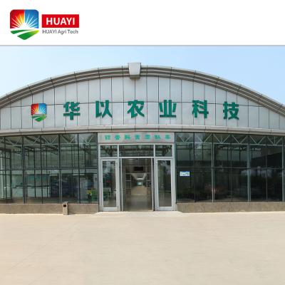 中国 Agriculture Manufacturer Huayi Company Provide Modern Greenhouse Various Cultivating Equipments With Planting Systems Tall 販売のため