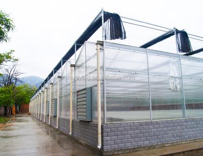 China Hot Sale Newly Made Fruit Vegetable Flowers And Carbonate Greenhouse Poly PC Green House With Complete Systems for sale