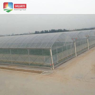 中国 Full Arch Plastic Sheet Greenhouse Multi-Span Fruit Vegetal Turnkey Project Greenhouse With Tomato Strawberry Hydroponic Growing System 販売のため