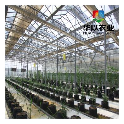 China EC Plant Digital Nutrient Sensor PH System Greenhouse Hydroponic Digital Nutrient Controller For Sale for sale