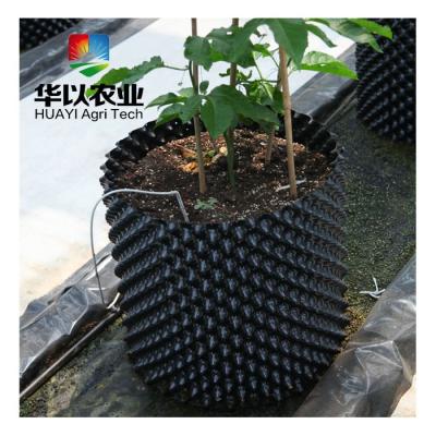 China China Modern Plastic Plant Pots Pruning Air Supply Plant Black Plastic Pots For Nursery Plants for sale