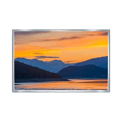 China Cheap Price Tft LCD Panel 1024*600 Viewing 50pin 10.1