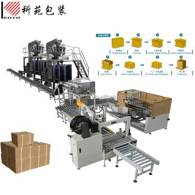 China CE Vertical Type Automatic Case Packer Machine For Salt Sugar Bag for sale