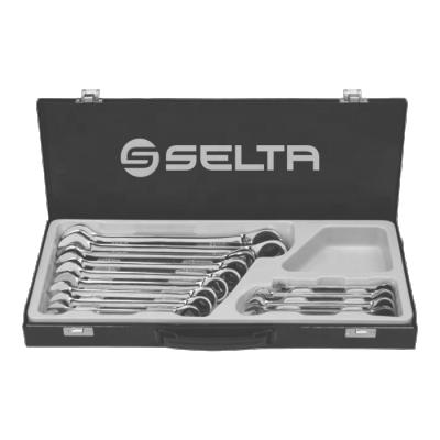 China Auto Car Repair SELTA Purpose Tool Kit 13 Pcs Ratchet Wrench Multi Set for sale