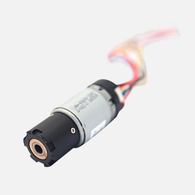 China Totally Enclosed High Torque 26JXS2953EC Gear Motor 26JXS2953EC DC Gear Low Noise Planetary Electric Motor 26mm For Car Trunk for sale