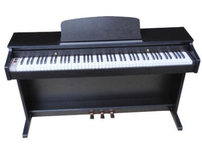 China Piano dominante pulido electrónico de Digitaces del negro 88 con la melamina Shell DP8820B en venta