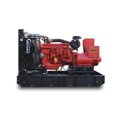 China High quality silent generator suitable for SS11 supermarkets for sale