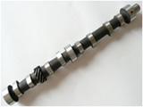 China Camshaft for Weifang Ricardo Engine 295/495/4100/4105/6105/6113/6126 Engine Parts for sale