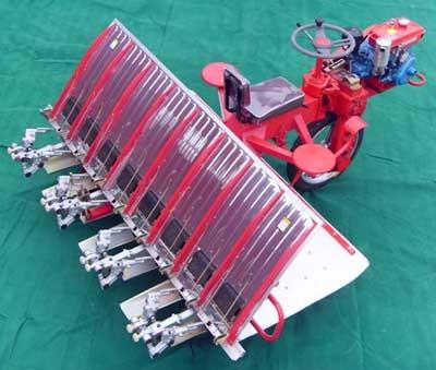 China Paddy Rice transplanter 2ZT-8238 for sale