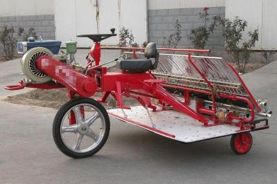 China 6 rows Paddy Rice transplanter suit for farm for sale