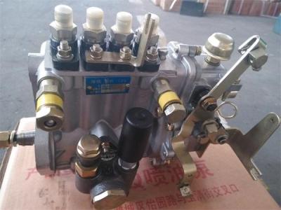 China Laidong LL380,LL380B,KM385B,LL480B,KM485B,4L22B,KM496,KM4100 fuel pump for sale