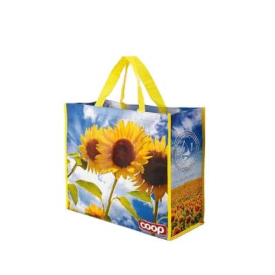 China Eco Friendly Recyclable Customized Print Eco - Friendly Promotional PP Printing Non Woven Shopping Bag for sale