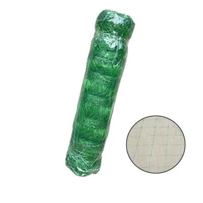 China High Strength Factory Price Agriculture Plastic Trellis Netting Climbing Plants Supporting Net for sale