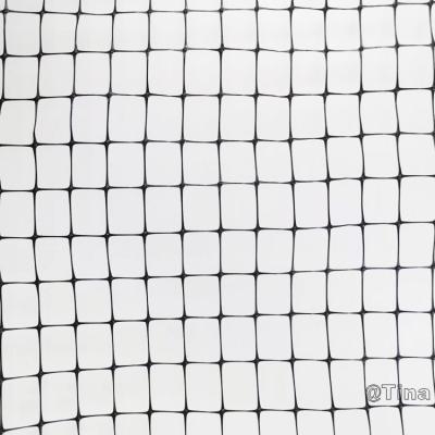 China High Tensile Strength High Tensile Polypropylene Meshing Mulch Netting for sale