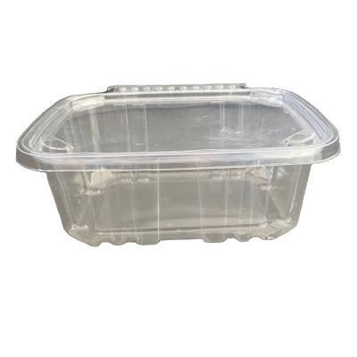 China Factory Wholesale Disposable Tamper Evident Seal 32oz Clear Disposable PET Plastic Dessert/Bakery/Cake Hinged Containers for sale