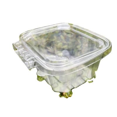 China Factory Best Selling Disposable 16 Ounce PET Clear Tamper Evident Seal Disposable Plastic Food Packaging Hinged Containers for sale