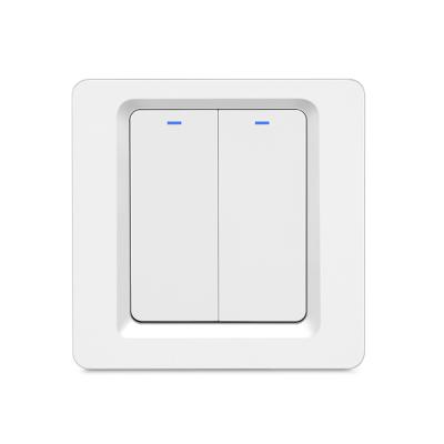 China ZigBee Smart Home Products Smart Wall Switch Two DS123-2s Smart Wall Switch One Three Way for sale