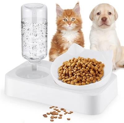 China Amazon Automatic Wholesale Hot Sale Pet Cat Dog Water Food Feeder Bowl Set for sale